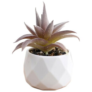  tFCNO[  CeAG u   A ^  p O[ sN CG[  L[g  i` {^jJ