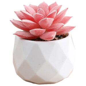  tFCNO[  CeAG u   A ^  p O[ sN CG[  L[g  i` {^jJ