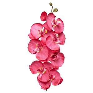   tFCNt[ 1{ Ӓ  Pi CeAG t[AWg lH ͂Ȃ i`   DIY   i Y A[gt[  Q 