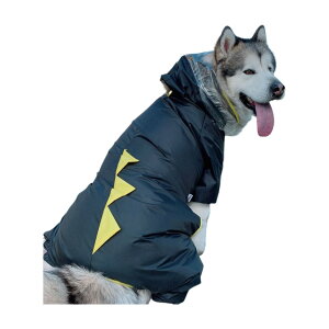  ybgEFA CR[g p  CEFA Jbp JH J ^ ^ tN^[ ˍ t[ht t  yAbN ybgpi