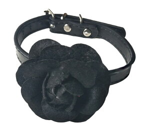   ybgp p J[ Pi xg^Cv U[ Upi ۃObY o Oo KN  킢  t[`[t t@bV  L ^ ^ 