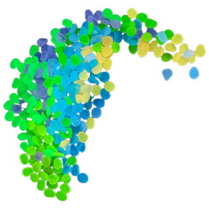    200 ANAEpi  ~   Mы  ԕr Jt Xg[   