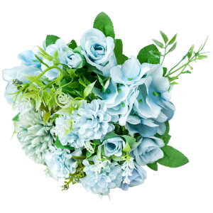    t[ KN o O Q ڂ  킢 ԑ u[P JoLx  rO t[AWg CeA