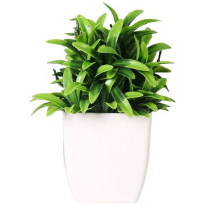  tFCNO[ CeA  lHϗtA ^ t vJ ϗtA A   C~e[V Mtg v[g