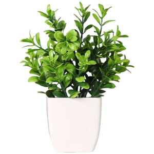  tFCNO[ CeA  lHϗtA ^ t vJ ϗtA A   C~e[V Mtg v[g