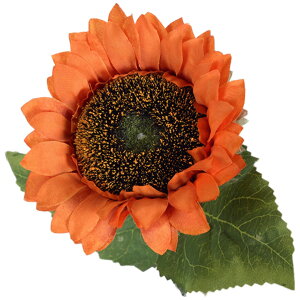   tFCNt[ Ђ܂ 3{Zbg CeA A[gt[  Tt[ lt[ q} ԍ ԏ t[AWg fBXvC  fR