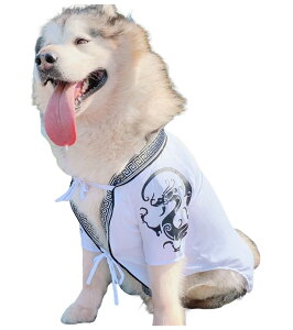  hbOEFA  ybg Z pEFA ybgEFA ؕ RXv RX`[  ^ ^ ͂ KE gbvX hJ  hS R   