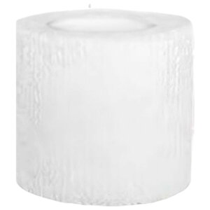  X|[cpT|[ge[v X|[ce[v e[v Lke[v F3Zbg 5cm e[sO T|[ge[v ʋC ֐ I G  w  Vv