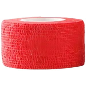  X|[cpe[v e[v Lke[v F3Zbg 2.5cm X|[ce[v e[sO T|[ge[v ʋC ֐ I G  w  Vv