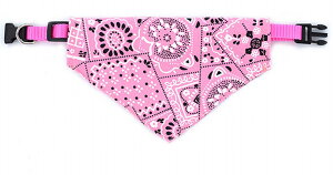  ybgpo_i XJ[t X^C 悾|  hbO hbO ^ ^  `[J[  킢 U DJt JWA X|[eB[ ANZg