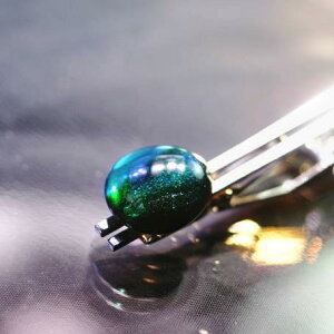 wΏ̓Hx KXANZT[ lN^CsEJtX