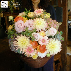 X^hԂ̑ 傫 J JXj  ސEj  t[AWg j T I[v   I TvCY sN     IW җ Ê 