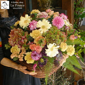 X^hԂ̑ 傫 J JXj  ސEj  t[AWg j T I[v   I TvCY sN     IW җ Ê 