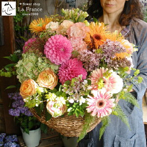 X^hԂ̑ 傫 J JXj  ސEj  t[AWg j T I[v   I TvCY sN     IW җ Ê 