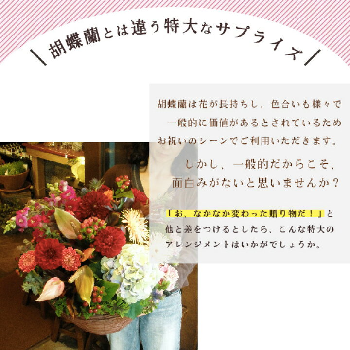 楽天市場 スタンド花の代わりに贈る個性派花 フラワーアレンジメント 開業 お祝い 式典 オープン 公演 結婚式 披露宴 サプライズ ピンク 赤 白 緑 黄 オレンジ 退職 還暦 古希 米寿 クール便配送 フラワーギフト専門店ラ フランス