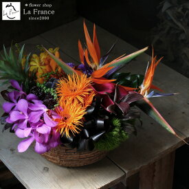 楽天市場 カラー イエロー フラワーアレンジメント 花 観葉植物 花 ガーデン Diyの通販