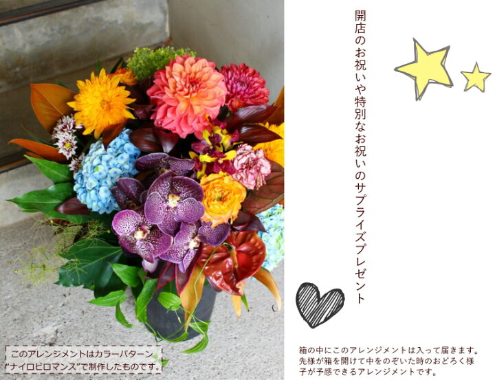 楽天市場 フラワーアレンジメント ギフト 開店祝い 花 おしゃれ 全品送料無料 大きい ボリュームたっぷり ダリア 結婚祝い お祝い 誕生日 開店祝い サプライズ 赤 黄色 ピンク 緑 紫 退職 還暦 古希 喜寿 米寿 クール便配送 フラワーギフト専門店ラ フランス