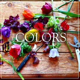 楽天市場 花ギフト おしゃれの通販