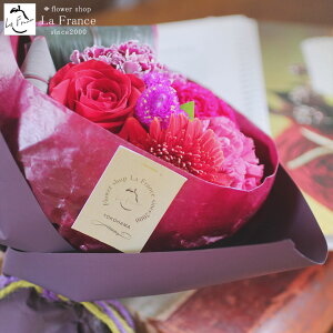 y z13Y 摜zM ԑ  IV  Ԃ ~ju[P v[g Mtg   a ސE ʉ LO  \ sN AeB[N  F 