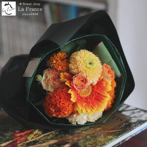 y z13Y 摜zM ԑ  IV  Ԃ ~ju[P v[g Mtg   a ސE ʉ LO  \ sN AeB[N  F 