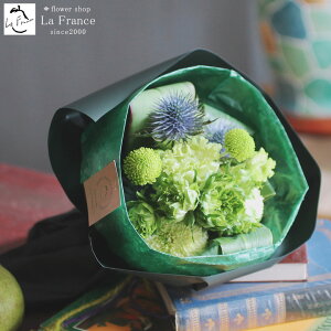 y z13Y 摜zM ԑ  IV  Ԃ ~ju[P v[g Mtg   a ސE ʉ LO  \ sN AeB[N  F 