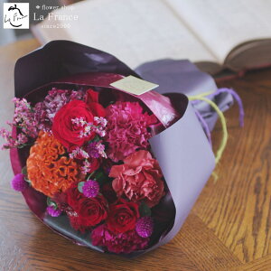 y z13Y 摜zM ԑ  IV  Ԃ ~ju[P v[g Mtg   a ސE ʉ LO  \ j sN AeB[N 