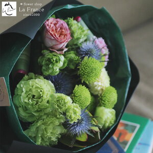 y z13Y 摜zM ԑ  IV  Ԃ ~ju[P v[g Mtg   a ސE ʉ LO  \ j sN AeB[N 