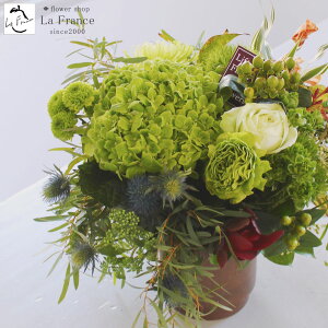 y ŒZz13Y t[Mtg  t[AWg Mtg  a LO ސE v[g JXj \ W җ  Ê  j  摜zM