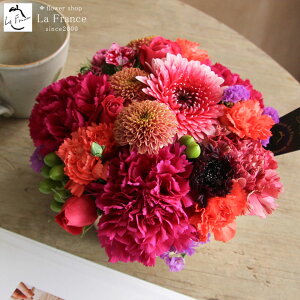 y ŒZz13Y t[ hV̓ t[Mtg  Mtg  t[AWg Mtg  a LO ސE v[g j  摜zM A