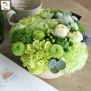 y ŒZz13Y t[ hV̓ t[Mtg  Mtg  t[AWg Mtg  a LO ސE v[g j  摜zM A