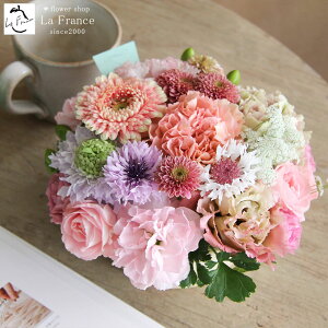 y ŒZz13Y t[ hV̓ t[Mtg  Mtg  t[AWg Mtg  a LO ސE v[g j  摜zM A