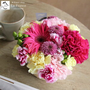 y ŒZz13Y t[ hV̓ t[Mtg  Mtg  t[AWg Mtg  a LO ސE v[g j  摜zM A