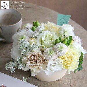 y ŒZz13Y t[ hV̓ t[Mtg  Mtg  t[AWg Mtg  a LO ސE v[g j  摜zM A