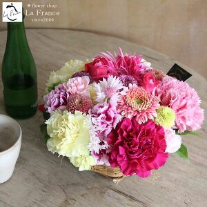 y ŒZz13Y t[ hV̓ t[Mtg  Mtg  t[AWg Mtg  a LO ސE v[g j  摜zM A