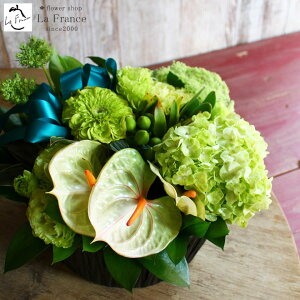 t[Mtg a j  av[g 蕨  IV t[AWg   AWg _  JXj \ W җ Ê 