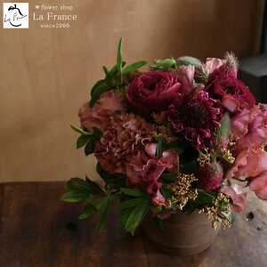 JtFEVR l o^C  t[AWg LO j 蕨 j  Mtg v[g a oYj LO JXj JXj  