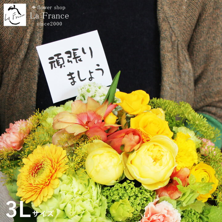 楽天市場 こんな時だから 花を贈ろう 配送 配達 フラワーアレンジメント 応援 花 頑張ろう メッセージ カード ピンク 赤 黄 緑 紫 全品送料無料 生花 6色から選択可能 クール便配送 フラワーギフト専門店ラ フランス