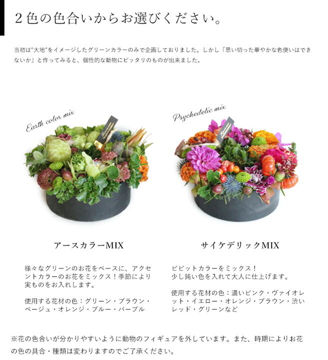楽天市場 フラワーアレンジメント 花 動物 プレゼント ギフト かわいい フィギュア 豪華 サプライズ インパクト センスのある おしゃれ かっこいい 個性的 開店祝い 誕生日 お祝い 記念日クリスマス お正月 飾り フラワーギフト専門店ラ フランス