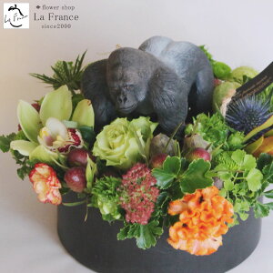 t[AWg   v[g Mtg 킢 tBMA  TvCY CpNg ZX̂   I JXj a j LO