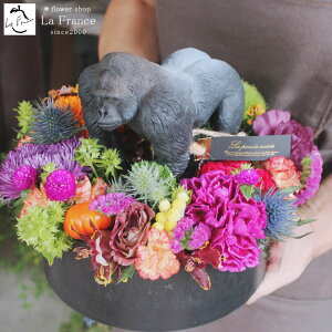 t[AWg   v[g Mtg 킢 tBMA  TvCY CpNg ZX̂   I JXj a j LO