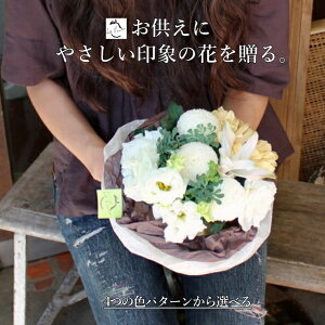 z y ~ V~  ԑ ~ju[P u[P ԃMtg    䋟  @ l\  O     m D  