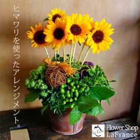 [クール便] 翌日配達 13時〆 ひまわり フラワーアレンジメント 花 フラワーギフト 父の日 生花 誕生日 おしゃれ オシャレ お洒落 フラワー 記念日 贈り物 開業祝い 開店祝い お祝い メッセージカード付 生花 ギフト プレゼント 贈り物 アレンジメント デザイナーズ 結婚 お祝
