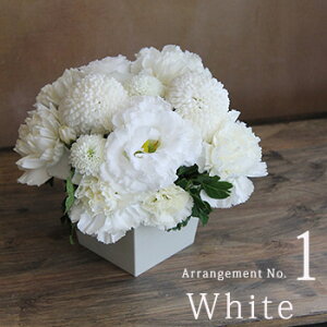 z y  ~ V~   AWg ԃMtg  Ԃ  䋟  @ l\  O     m a D 