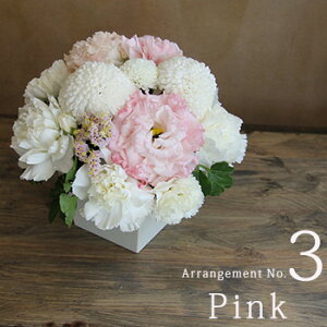 r r͂ Nꌇ z y  ~ V~   AWg ԃMtg  Ԃ  䋟  @ l\  O     