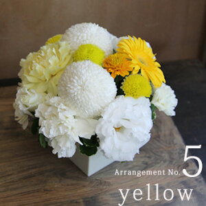 r r͂ Nꌇ z y  ~ V~   AWg ԃMtg  Ԃ  䋟  @ l\  O     