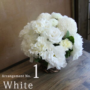 r r͂ Nꌇ z y  ~ V~   AWg ԃMtg  Ԃ  䋟  @ l\  O     