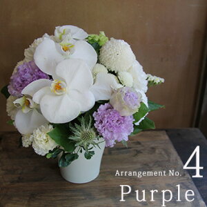 z y  ~ V~   AWg ԃMtg  Ԃ  䋟  @ l\  O     m a D 