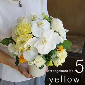 z y  ~ V~   AWg ԃMtg  Ԃ  䋟  @ l\  O     m a D 