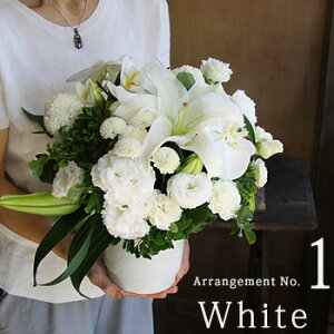 r r͂ Nꌇ z y   t[Mtg  Ԃ  䋟  @ l\  O     m a D 