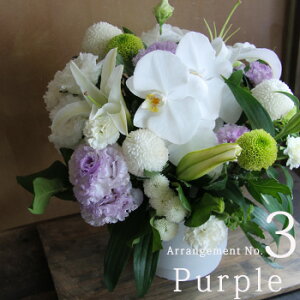 r r͂ Nꌇ z y  ~ V~   AWg ԃMtg  Ԃ  䋟  @ l\  O     